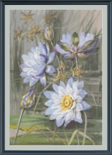 Blue White Water Lily cross stitch pattern