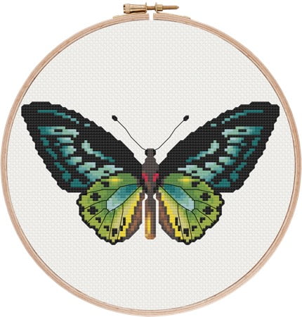 Green Birdwing Butterfly cross stitch pattern