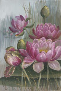 Water Lily 4 source