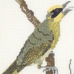 Yellow-tufted Honeyeater cross stitch pattern